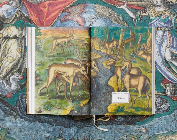 Бумажная книга «Theodor de Bry. America», авторов Мишель ван Гросен, Ларри Тизе - фото №1