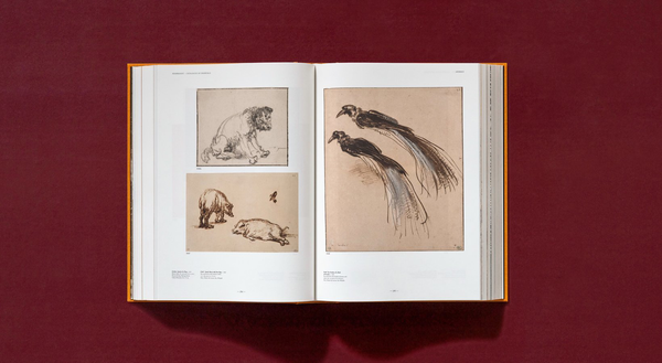 Паперова книга «Rembrandt. The Complete Drawings and Etchings», авторів Пітер Шетборн, Ерік Хінтердінг - фото №1