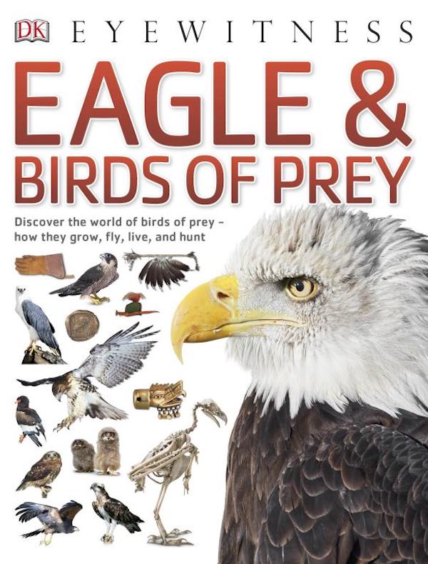 Бумажная книга «Eagle & Birds of Prey» - фото №1