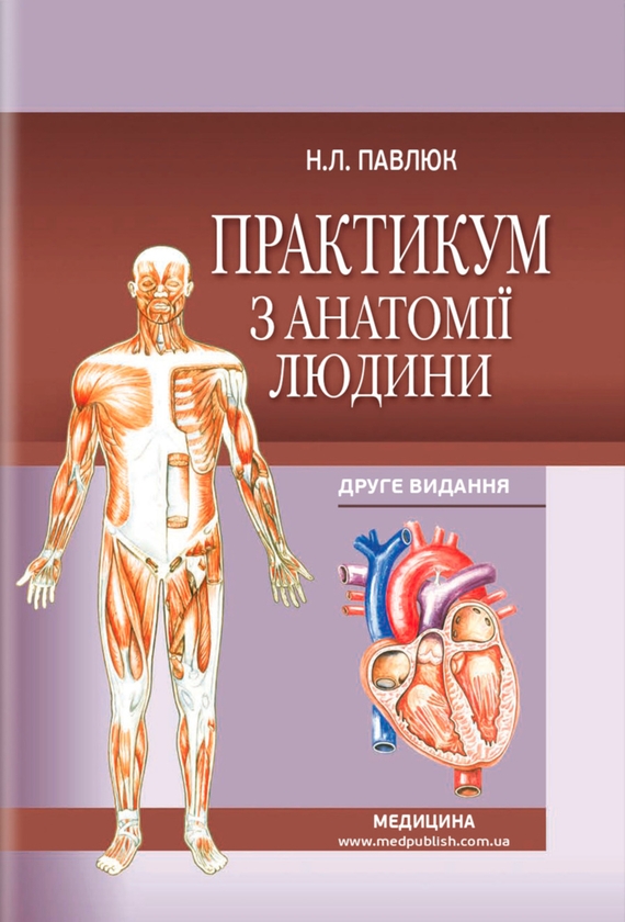 Бумажная книга «Практикум з анатомії людини», автор Наталия Павлюк - фото №1