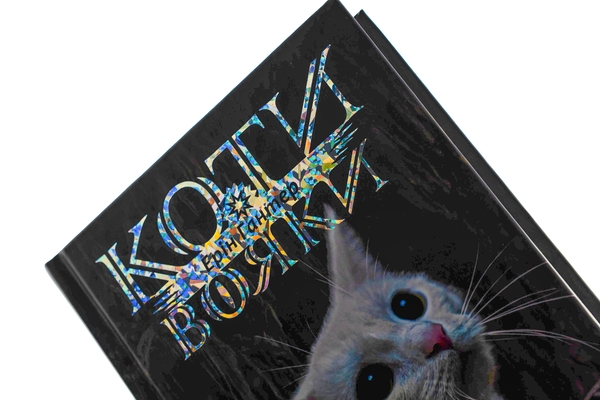 Бумажная книга «Коти-вояки. Знамення Зореклану. Книга 4. Знак місяця», автор Эрин Хантер - фото №1