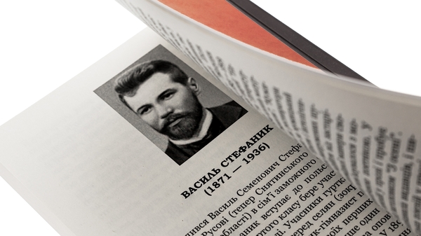 Бумажная книга «Вовчиця. Вибрані твори», автор Василий Стефаник - фото №1