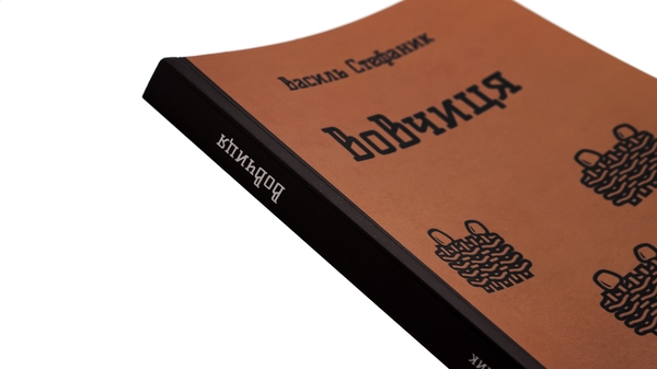 Бумажная книга «Вовчиця. Вибрані твори», автор Василий Стефаник - фото №1