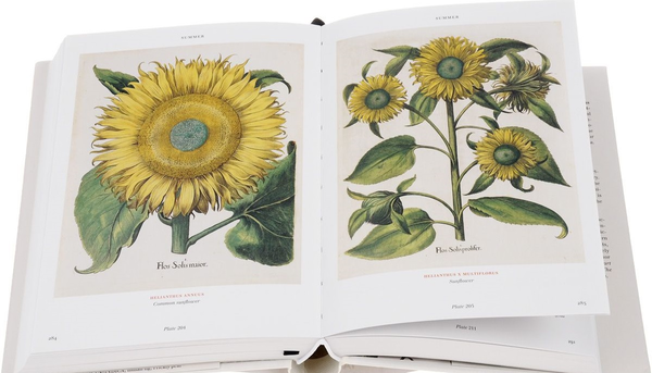 Бумажная книга «Basilius Besler's Florilegium. The Book of Plants» - фото №1