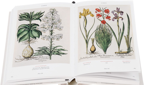 Бумажная книга «Basilius Besler's Florilegium. The Book of Plants» - фото №1