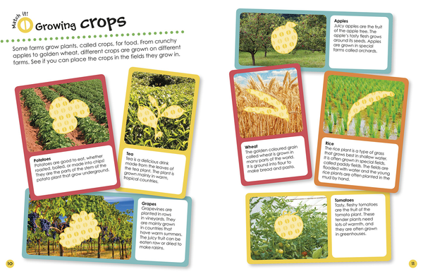 Бумажная книга «Farm Ultimate Sticker Book» - фото №1