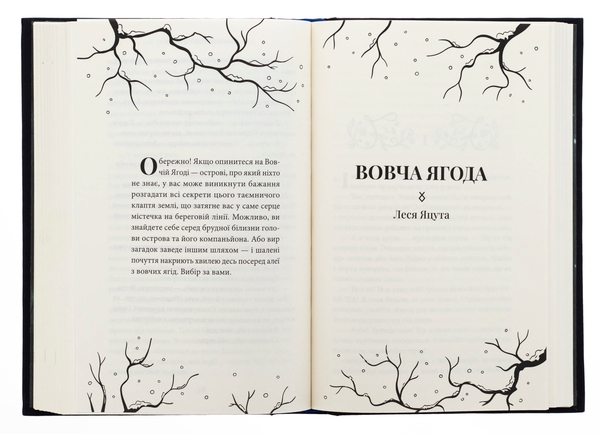 Паперова книга «Час тіней», авторів Олена Кузьміна, Ірина Грабовська, Анастасія Нікуліна, Леся Яцута - фото №1