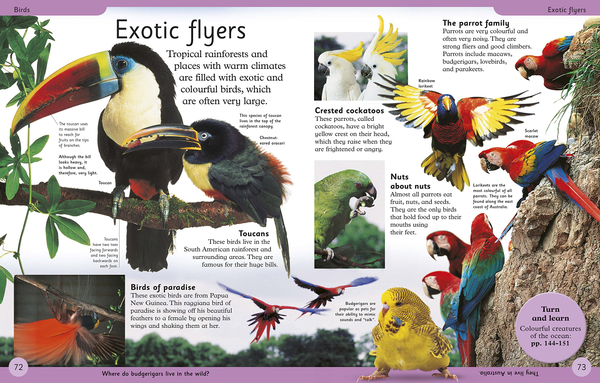 Бумажная книга « First Animal Encyclopedia» - фото №1