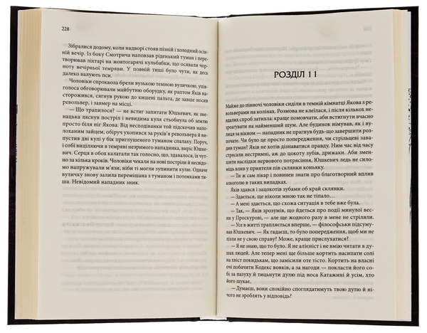 Бумажная книга «Книга в камені. Книга 2», автор Юрий Даценко - фото №1