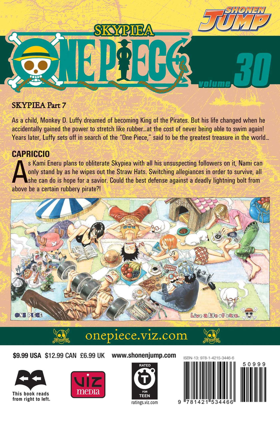 Бумажная книга «One Piece. Volume 30», автор Эйитиро Ода - фото №1