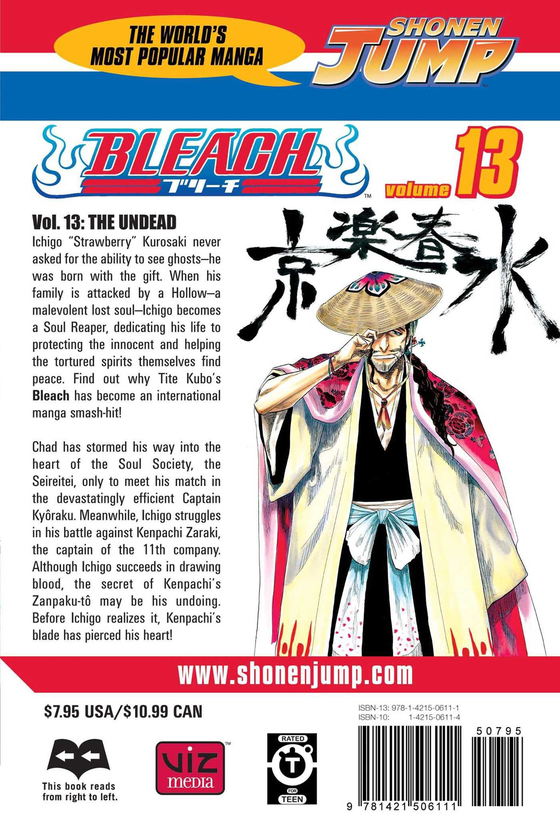 Паперова книга «Bleach. Volume 13», автор Тайто Кубо - фото №1