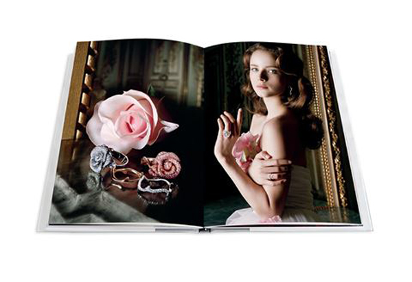 Бумажная книга «Dior (комплект из 3 книг)», авторов Каролин Бонгран, Жером Ганновер - фото №1