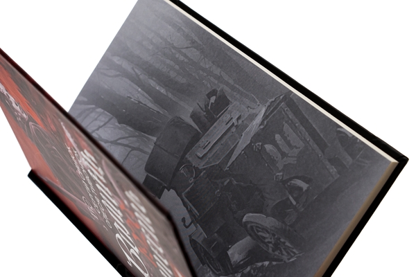 Бумажная книга «Волинь. 1920: пошесть», авторов Алеся Тывонюк, Сергей Синюк - фото №1