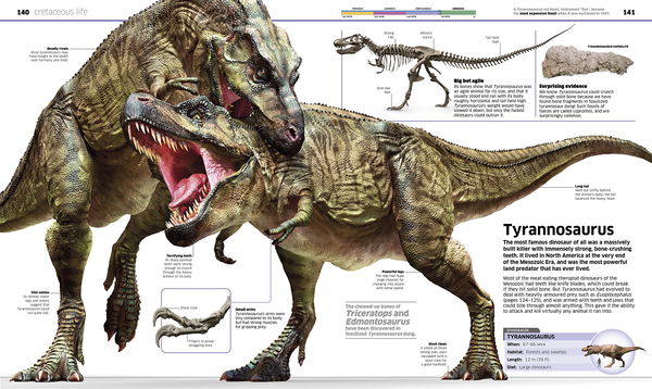 Бумажная книга «Knowledge Encyclopedia Dinosaur!» - фото №1