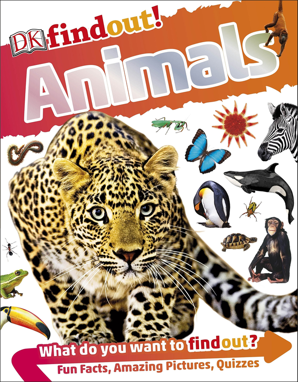 Бумажная книга «DK Find Out! Animals» - фото №1