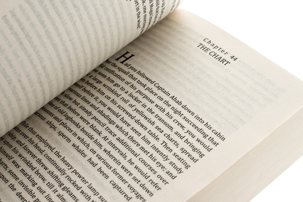 Бумажная книга «Moby Dick or, The Whale», автор Герман Мелвилл - фото №1