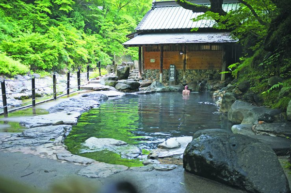 Бумажная книга «Onsen of Japan», авторов Мишель Макинтош, Стив Вайд - фото №1