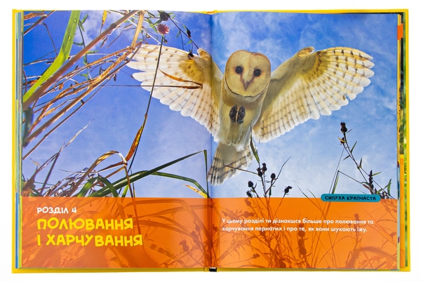 Бумажная книга «Птахи. Моя перша енциклопедія», автор Кэтрин Хьюз - фото №1