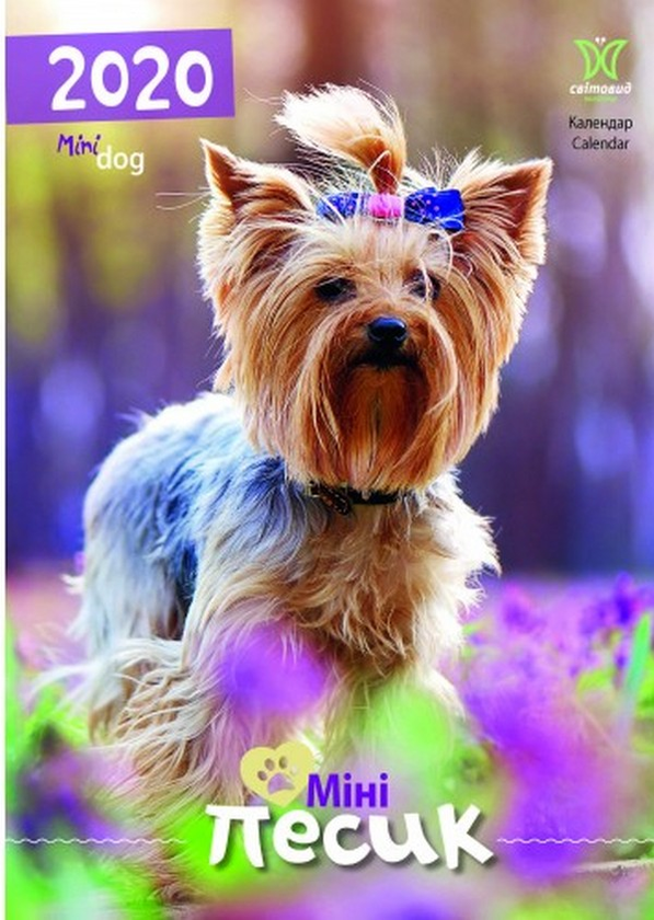 Книга Календар на 2020. Світовид. Міні-песик