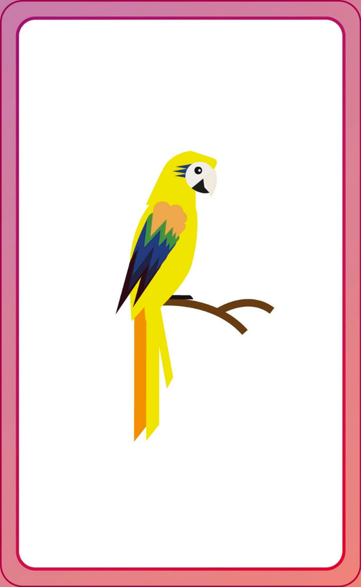 Бумажная книга «English for Everyone Junior: First Words Animals Flash Cards» - фото №1