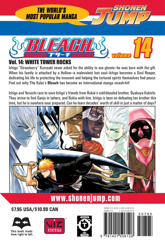 Бумажная книга «Bleach. Volume 14», автор Тайто Кубо - фото №1