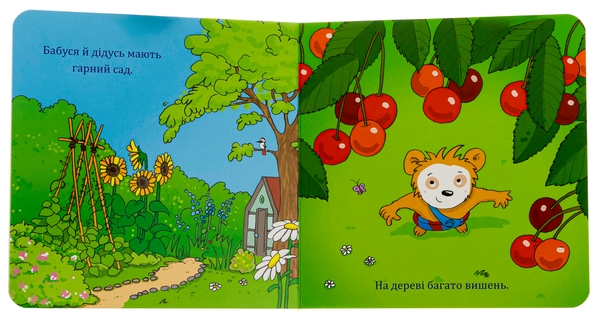 Бумажная книга «Бобо з бабусею і дідусем», автор Маркус Остервальдер - фото №1