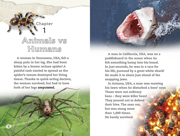 Бумажная книга «DK Reader Spiders and Other Deadly Animals», автор Джин Баклин - фото №1