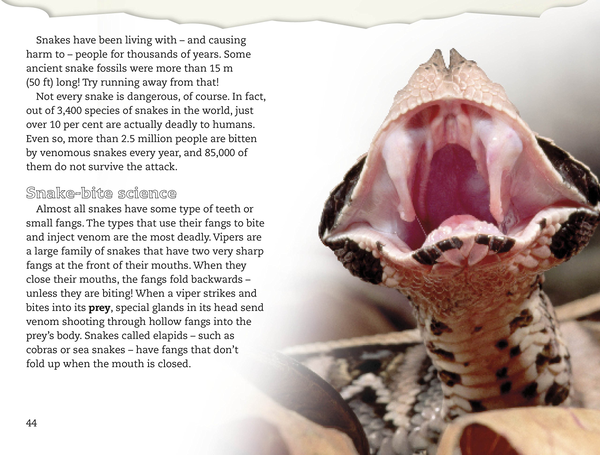 Бумажная книга «DK Reader Spiders and Other Deadly Animals», автор Джин Баклин - фото №1