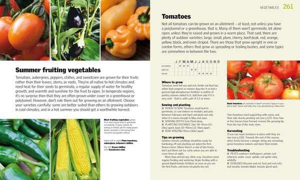 Бумажная книга «Allotment Month by Month», автор Алан Букингем - фото №1