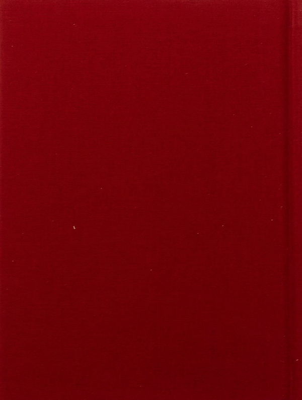 Паперова книга «Берестечко», автор Ліна Костенко - фото №1
