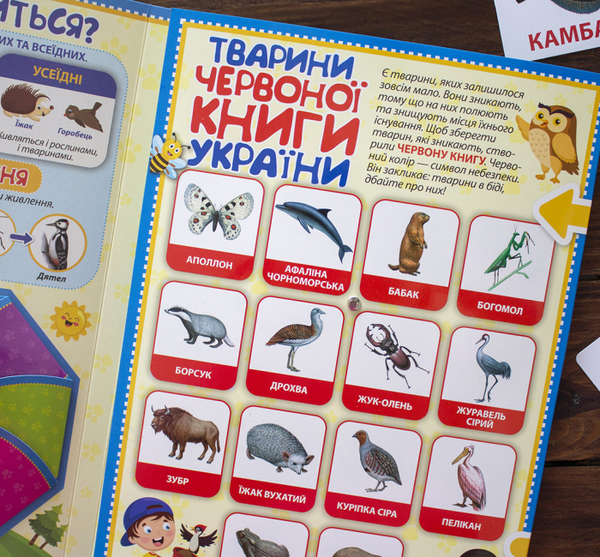 Паперова книга «Тварини. Міні-лепбук. НУШ» - фото №1