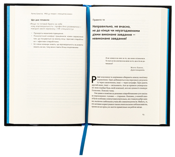 Паперова книга «PRO 37 правил і принципів бізнесу», автор Петро Синєгуб - фото №1