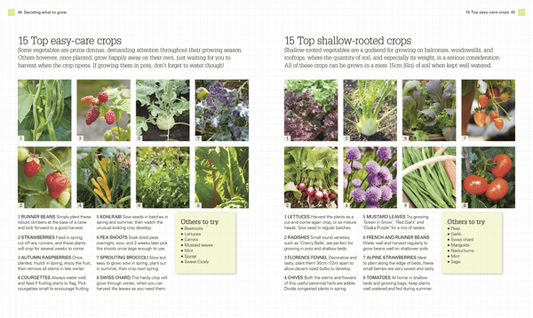 Бумажная книга «Grow All You Can Eat In Three Square Feet» - фото №1