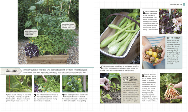 Бумажная книга «Grow All You Can Eat In Three Square Feet» - фото №1