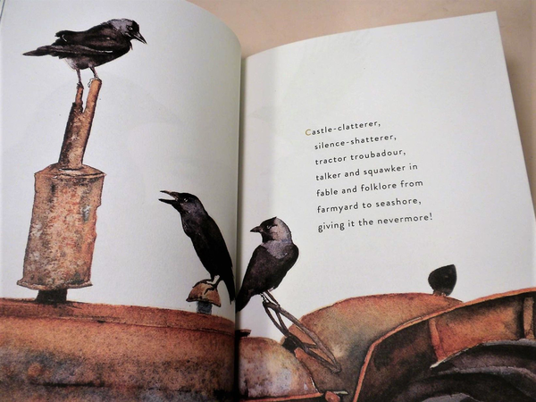 Паперова книга «The Lost Spells», автор Роберт Макфарлейн - фото №1