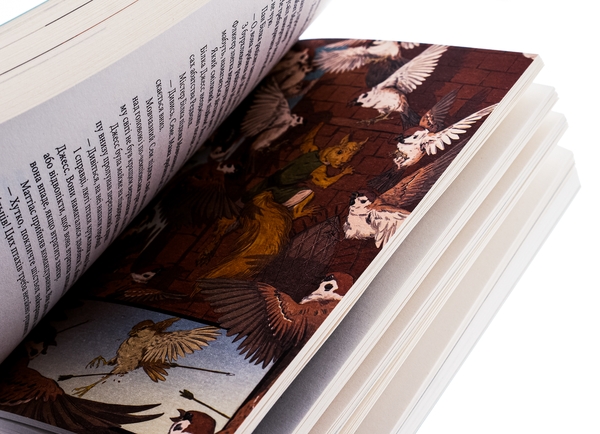 Бумажная книга «Редволл», автор Брайан Джейкс - фото №1