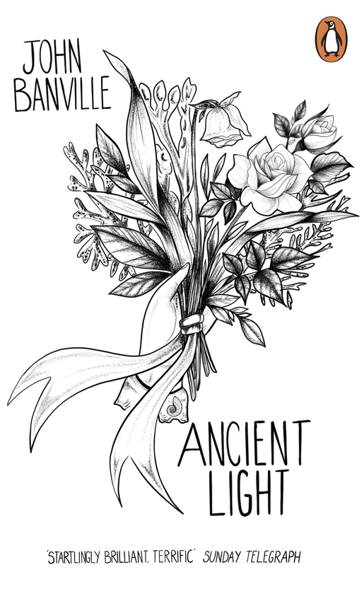 Паперова книга «Ancient Light», автор Джон Банвілл - фото №1
