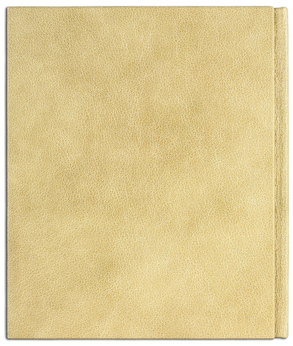 Паперова книга «Україна / Ukraine (Red Panther) у футлярі» - фото №1