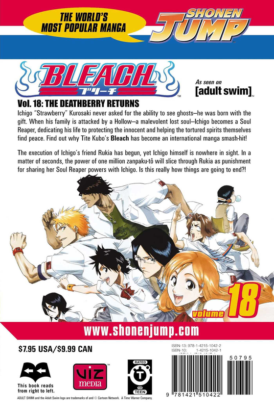 Паперова книга «Bleach. Volume 18», автор Тайто Кубо - фото №1