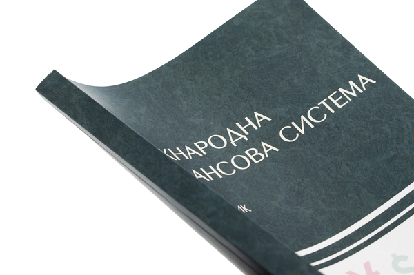 Паперова книга «Міжнародна фінансова система », авторів Н. Касьянова, Володимир Кочетков - фото №1