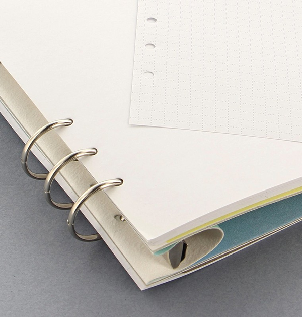  «Органайзер Filofax Clipbook A5 Classic Pastels Jack (145019)», бренда Filofax - фото №1