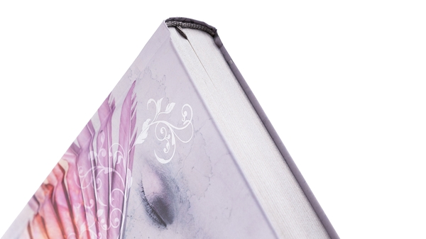 Бумажная книга «Сага про ангелів. Книга 1. Повернення ангелів», автор Мара Вульф - фото №1