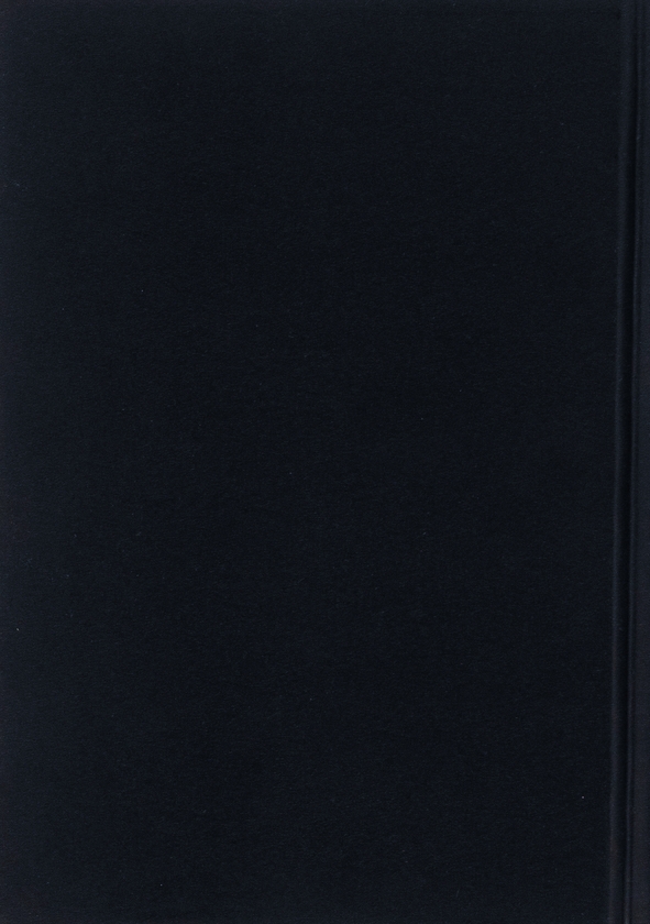 Паперова книга «Марко Проклятий», автор Олекса Стороженко - фото №1