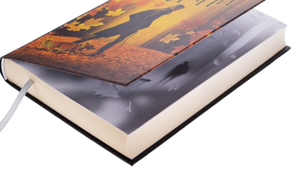 Бумажная книга «Жовті цеглини», автор Мира Бо - фото №1
