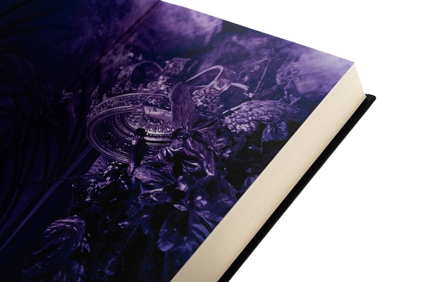 Бумажная книга «Вдови», автор Паскаль Энгман - фото №1