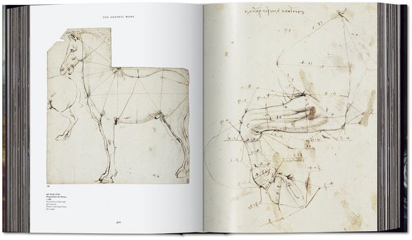 Паперова книга «Leonardo. The Complete Paintings and Drawings», авторів Йоханнес Натан, Франк Зольнер - фото №1