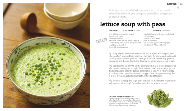 Паперова книга «The Soup Book», автор Софі Грігсон - фото №1