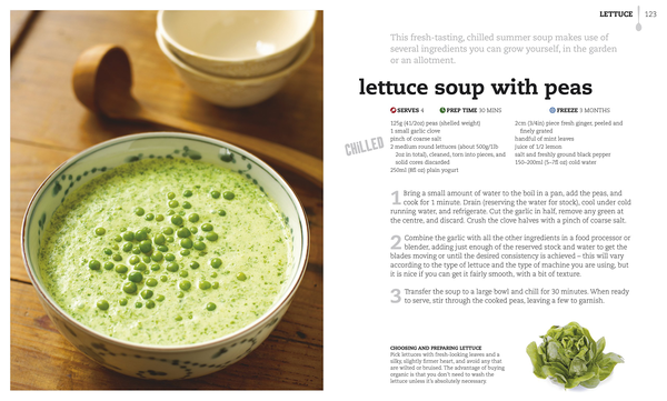 Паперова книга «The Soup Book», автор Софі Грігсон - фото №1