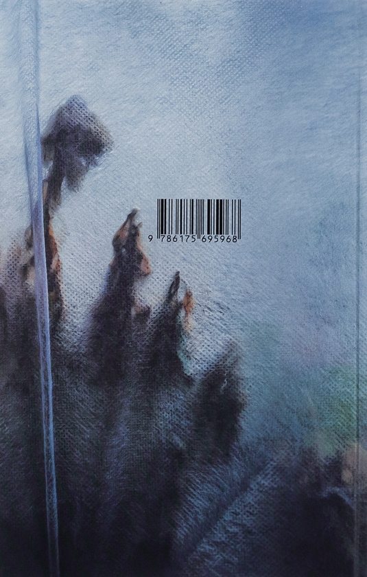 Паперова книга «Е.Е.», автор Ольга Токарчук - фото №1