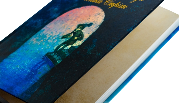 Бумажная книга «Дивовижна пригода Пепіка Стріхи», автор Павел Чех - фото №1